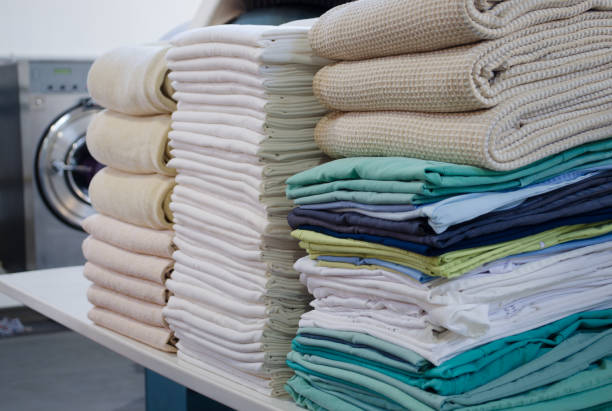 Professional wash and fold Pickup Delivery laundry service in St Petersburg